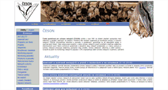 Desktop Screenshot of ceson.org